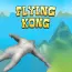 /data/image/game/flying-kong-slope3online.io.png