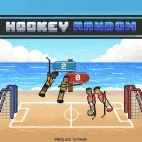 /data/image/game/hockey-random.jpg