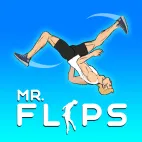 /data/image/game/mr-flip-slope3online.png