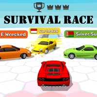 Survival Race