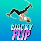/data/image/game/wacky-flip-slope3online.io.png